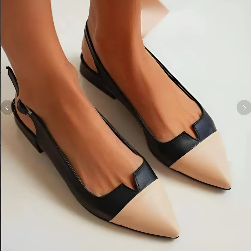 Women's pointed toe low heel pumps with colour matching, chunky heel under 3cm, PU upper, sizes 34-43