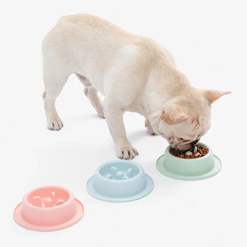 Blue slow feeder dog bowl with raised maze pattern and non-slip base.
