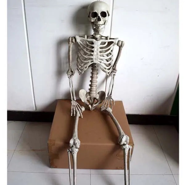 170cm tall plastic skeleton prop with detailed skull and bone structure