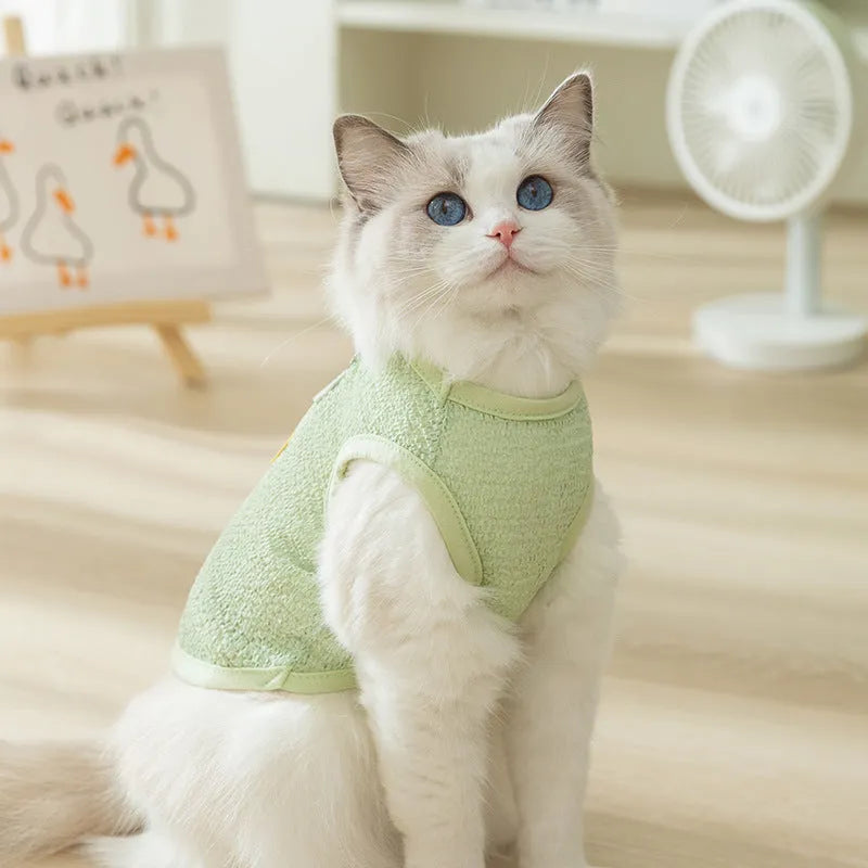 Bear patch cat clothes in hollowed-out knitted fabric showing breathable pattern