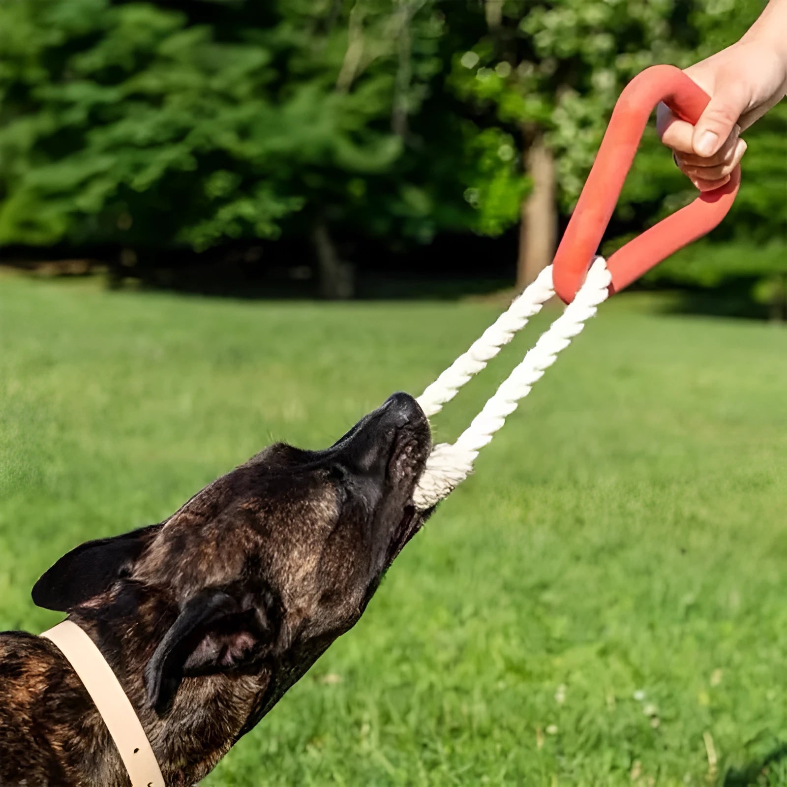 Large triangular cotton rope dog pull ring toy in beige, pink, or purple colours