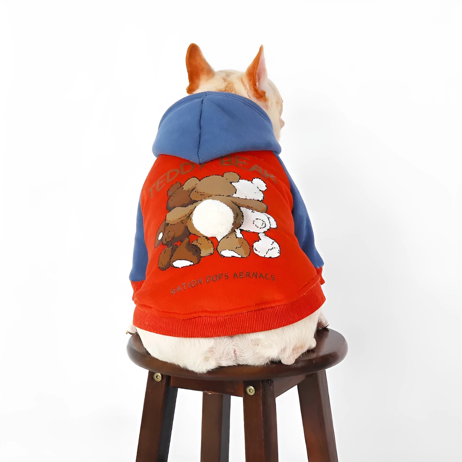 Red cotton dog jumper shown on a small to medium-sized dog, suitable for breeds like Teddy or Bichon.