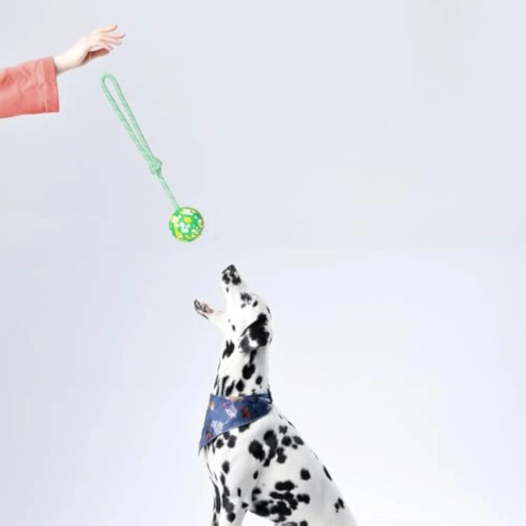 Dog ball on rope toy with natural rubber ball and nylon rope for interactive play