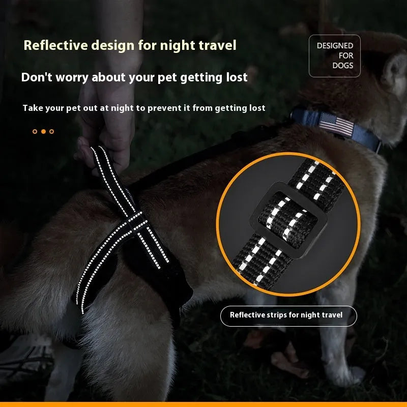 Black polyester pet rehabilitation hind legs auxiliary strap on a dog, three sizes available