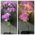 Solar hydrangea garden decorative lights in multiple colours with floor outlet design for outdoor placement
