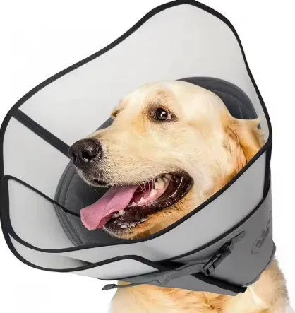 A soft, fabric pet sterilisation collar shown in an adjustable ring design.