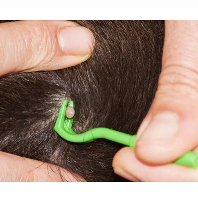 Blue and green plastic pet tick removal tools with hook design for cats and dogs