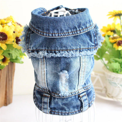 Stylish denim dog jackets and vests in a variety of designs for small pets