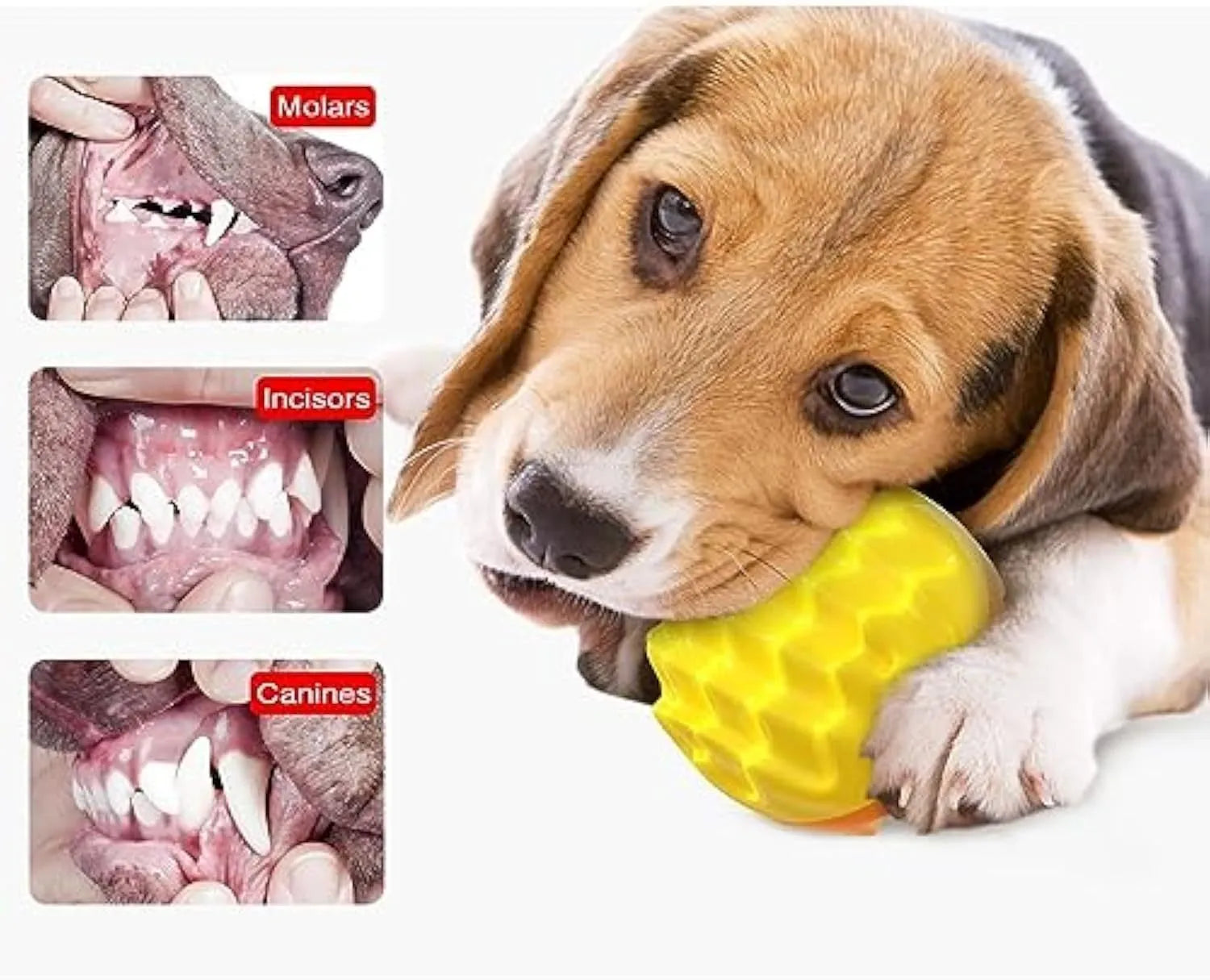 Blue squeaky dog ball toy with dental cleaning bumps and irregular texture for aggressive chewers