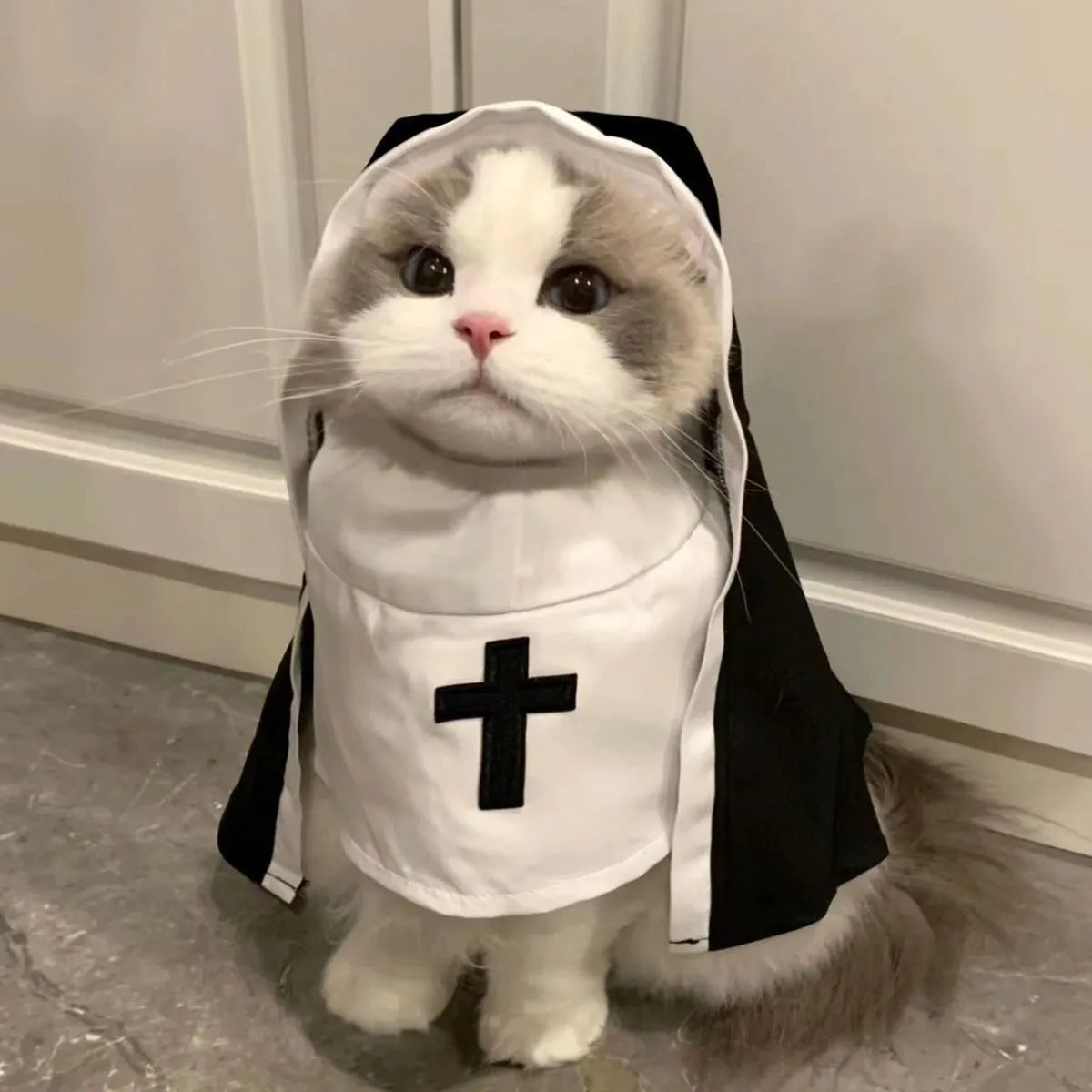Black and white polyester nun costume cloak for a small dog on Halloween