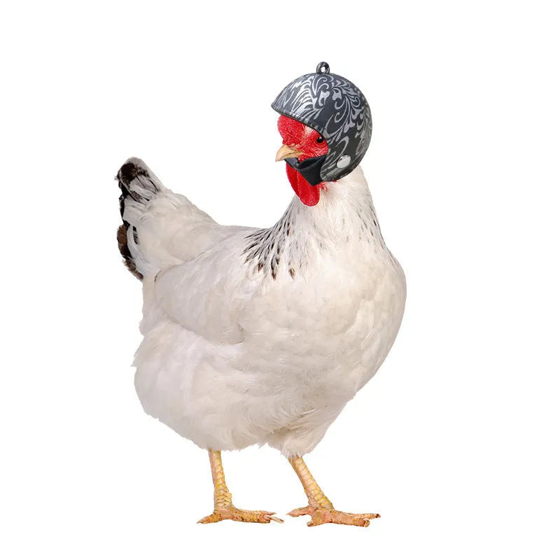 A small plastic pet helmet for chickens, showing one of the 12 design variants including rainbow, zodiac, or smiley face prints.