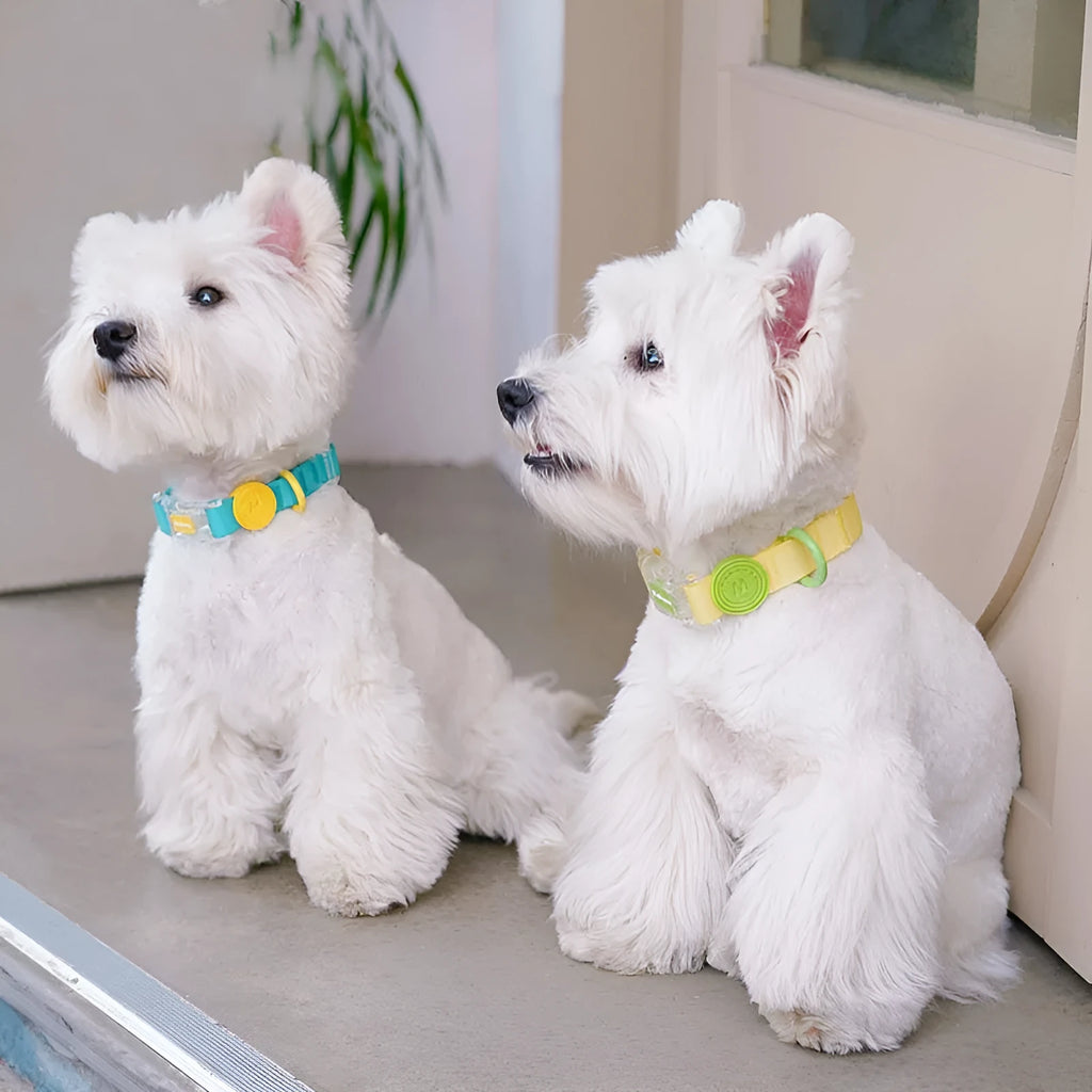 Nylon dog collar and matching lead set in rose pink colour on a grey background.
