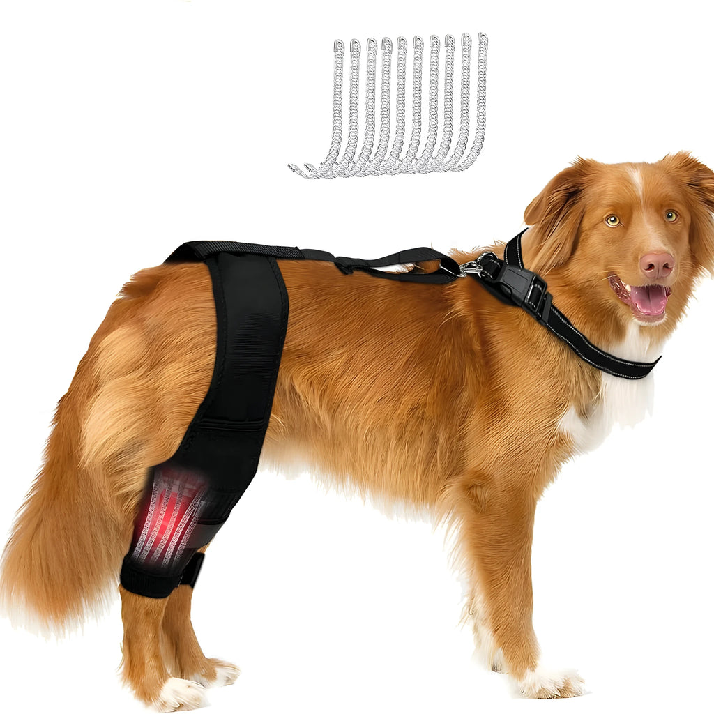 Dog leg protector knee brace with auxiliary belt elastic bandage for joint support
