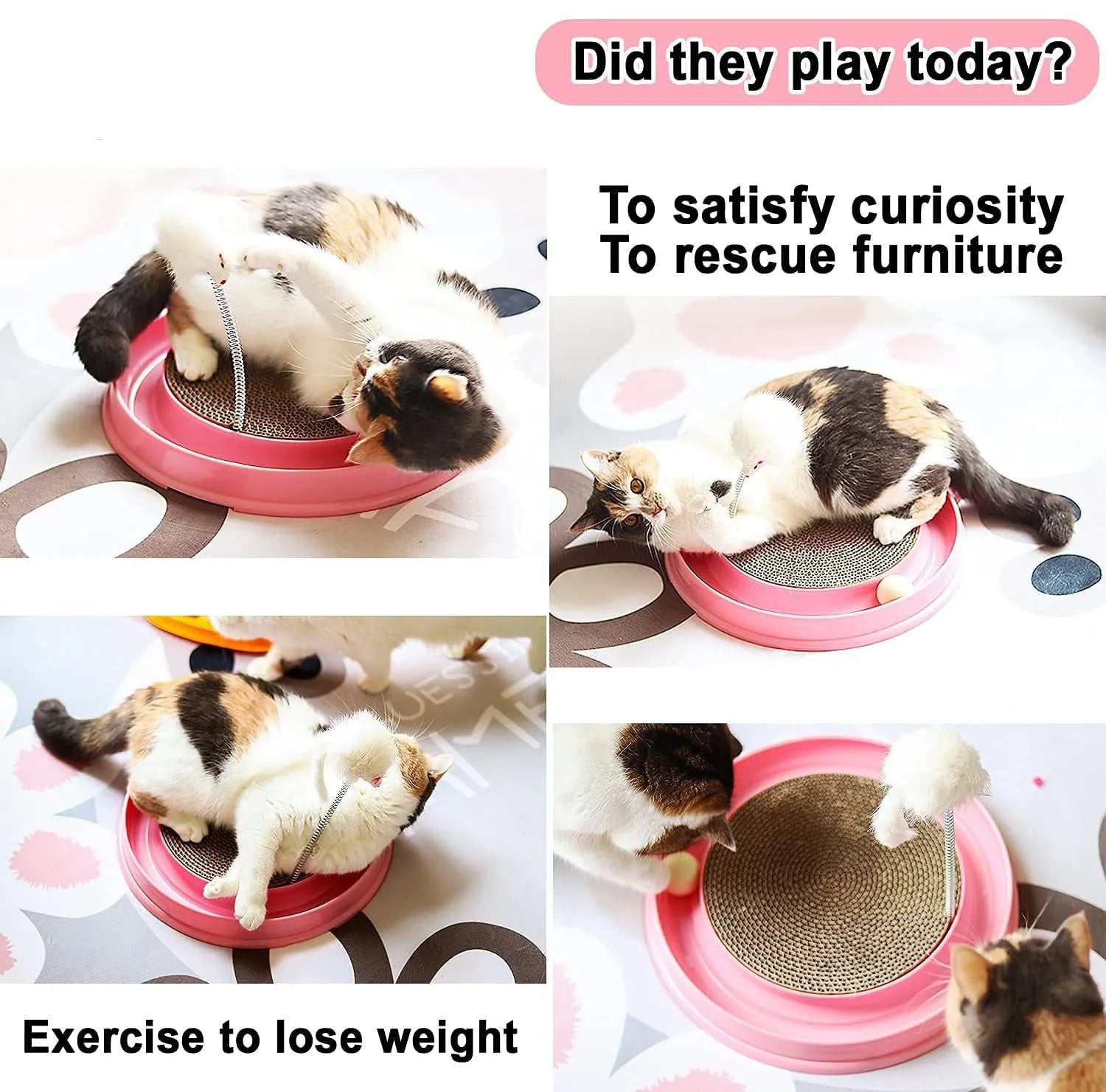 Blue circular cat scratcher toy with ball track and replaceable cardboard scratching pad