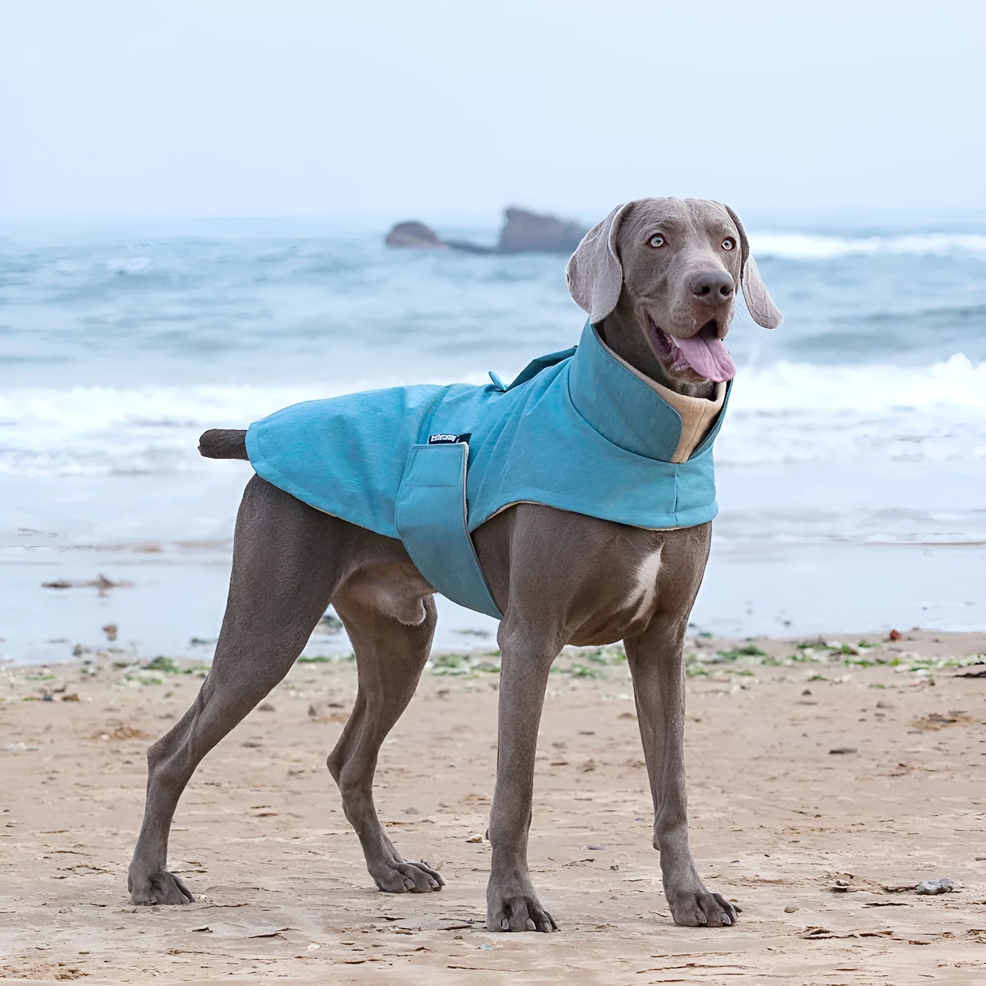 Polyester dog winter vest coat in rose red colour for medium large breed dogs
