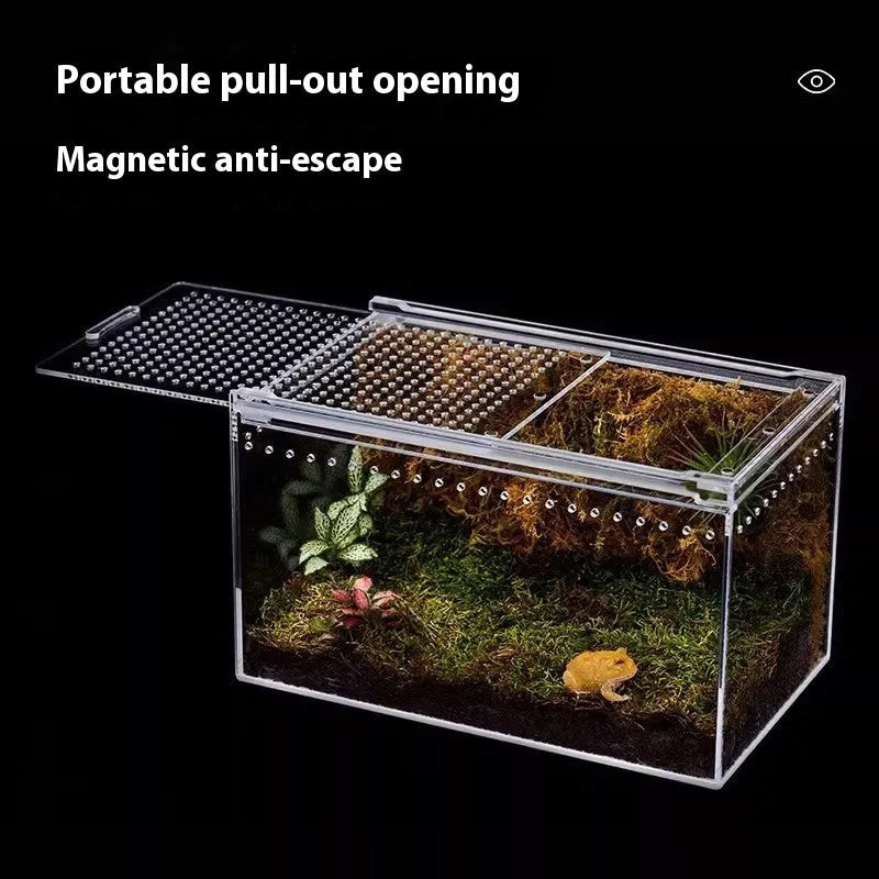 Transparent acrylic reptile feeding box enclosure for pet lizards or snakes.