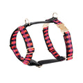 I-shaped dog chest harness with adjustable collar and 150cm hand-holding rope in leather rib fibre