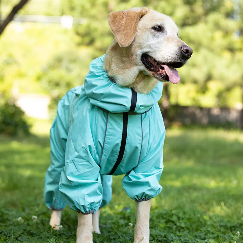 Dog wearing black cotton-padded polyester shell jacket with sports style design for winter warmth