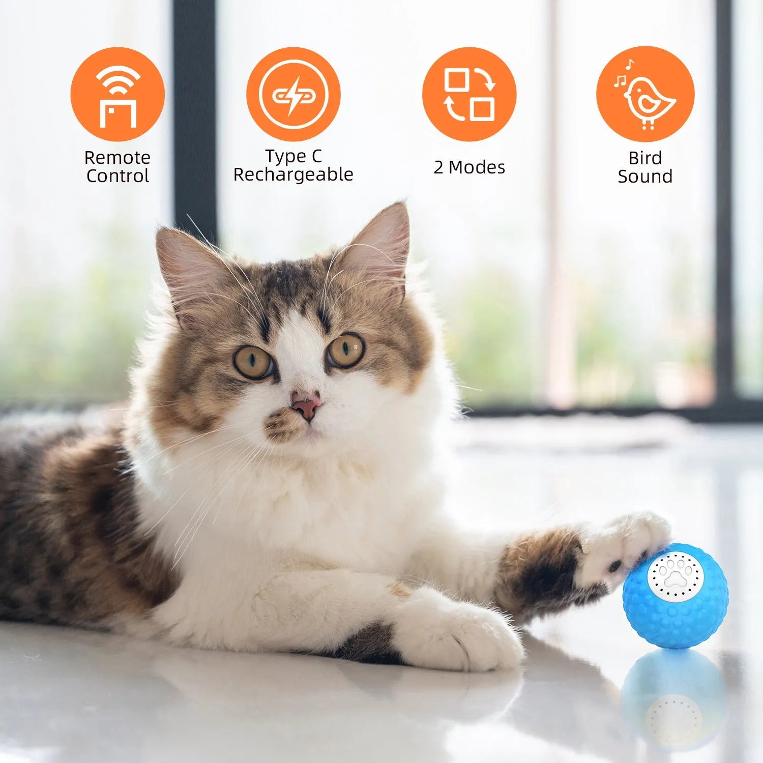 Remote control cat toy ball in blue, green and yellow colours with rolling motion and sound features