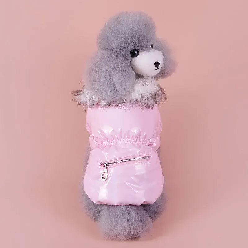 Blue British-style cotton dog jacket on a pet, showing winter coat design.