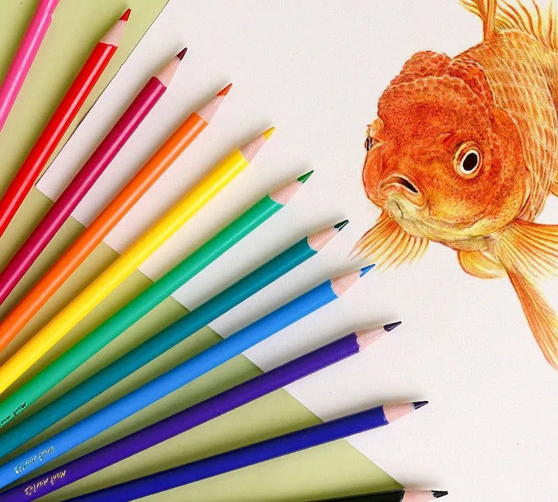 Wooden colour pencil set with 24 different colours in cartoon style packaging