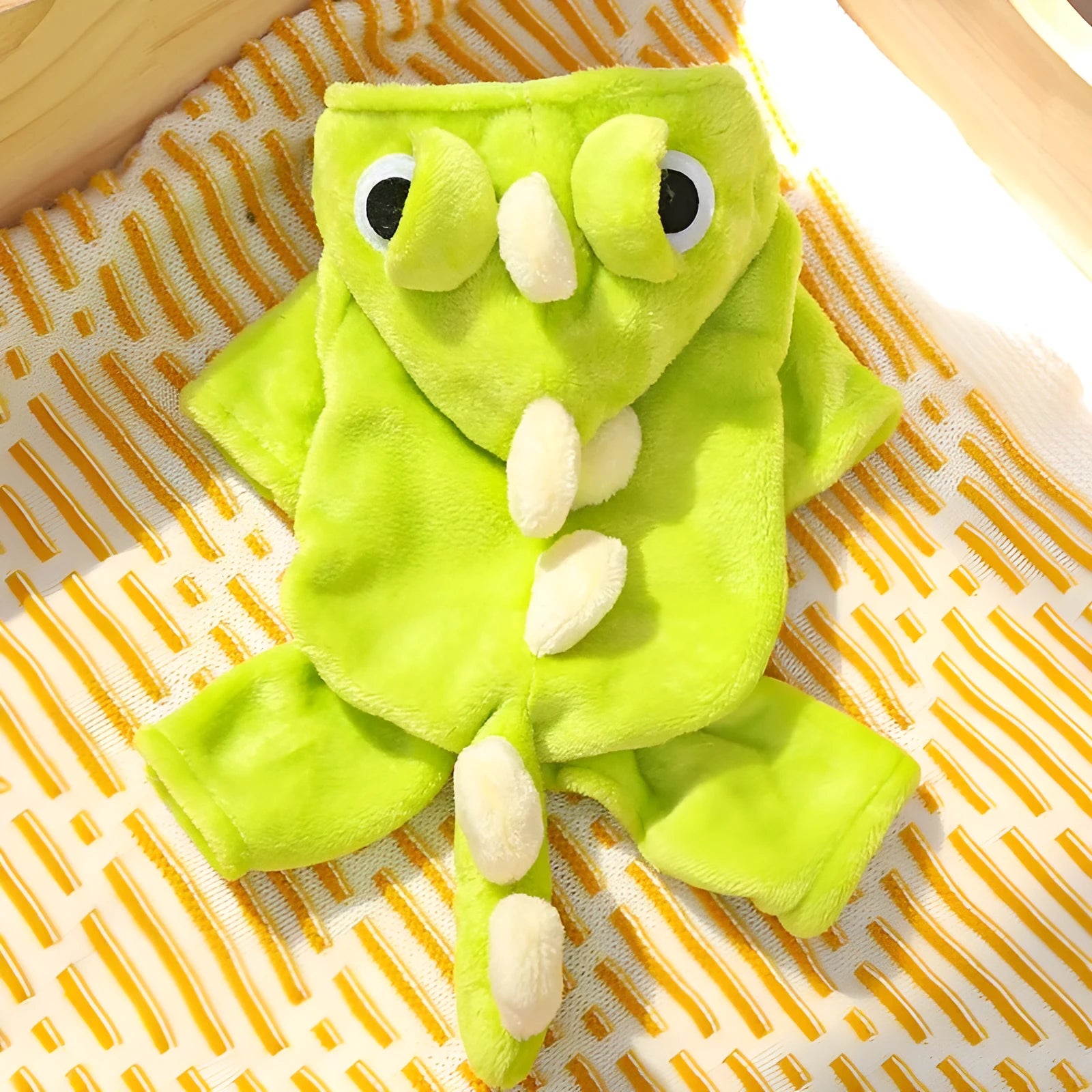 Green fleece dinosaur costume for small dogs with four legs, white chameleon back, and cartoon eyes