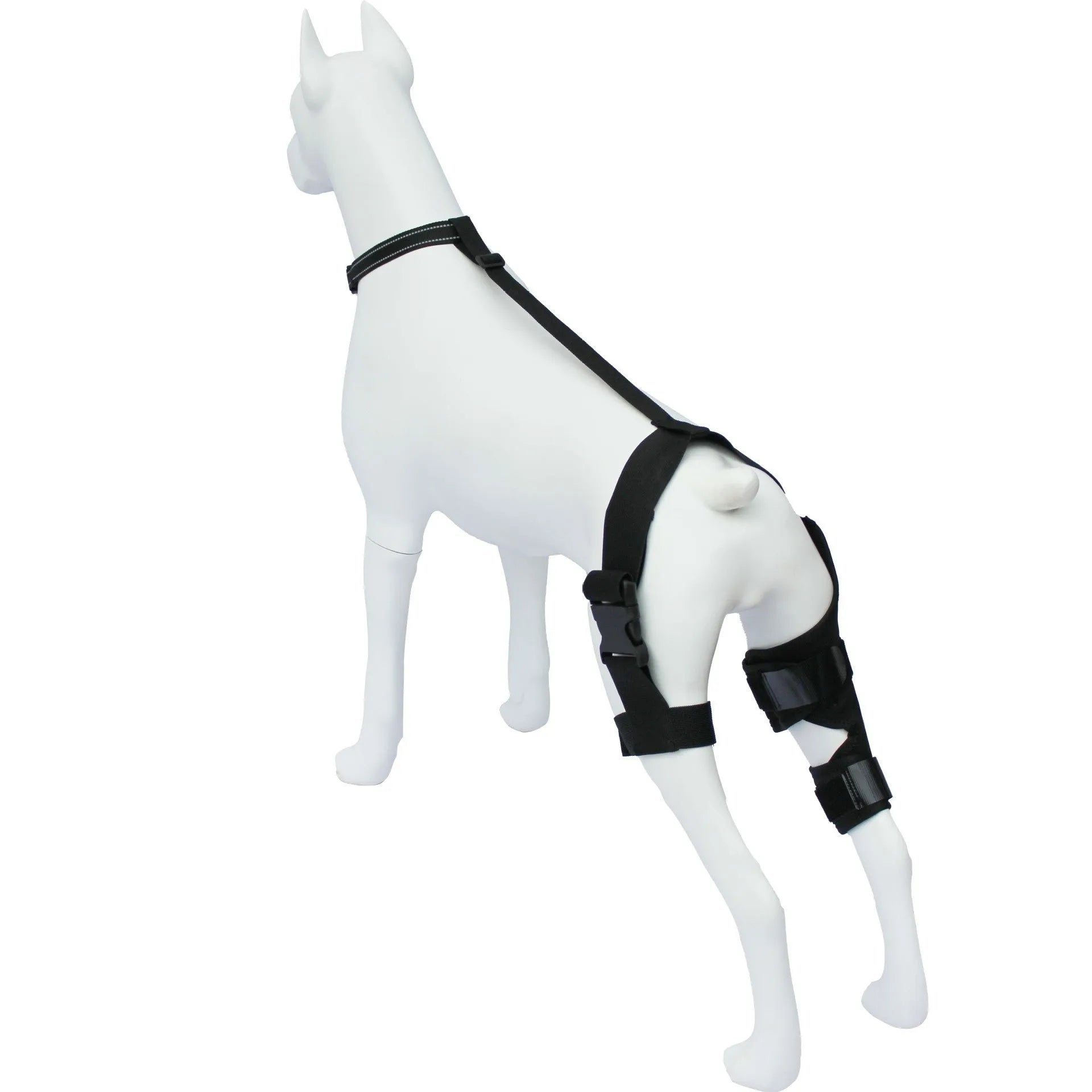 Dog hind leg knee brace assist strap in neoprene with adjustable straps for joint support