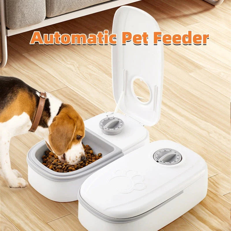 Automatic pet feeder with stainless steel bowl, gravity-powered feeding system for cats and dogs