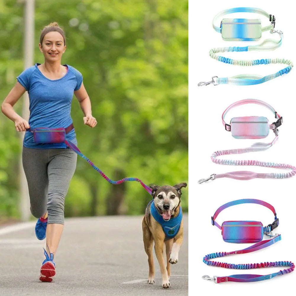Blue hands-free dog leash with adjustable waist belt and traction rope for walking and running