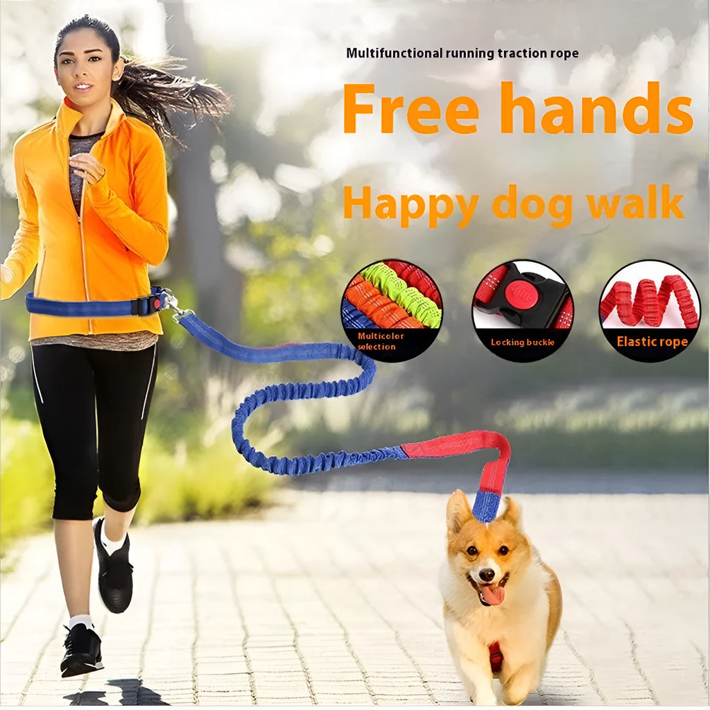 2.5cm wide elastic dog leash with reflective filament for night walking in blue and red colour combination