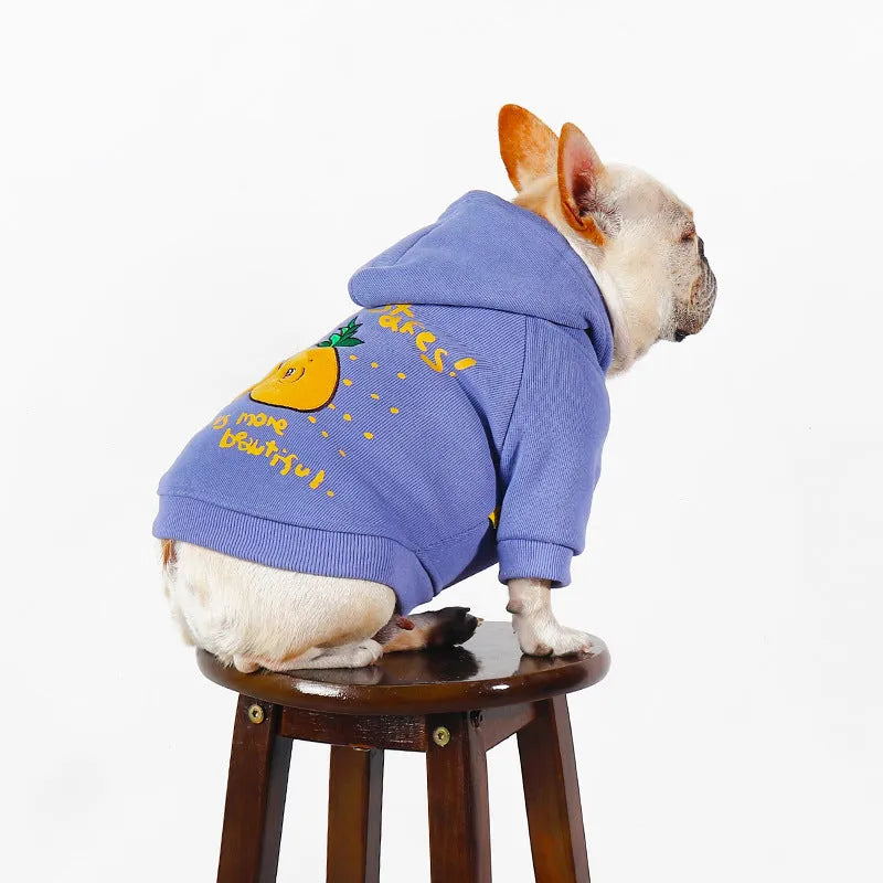 Blue and purple cartoon printed cotton hoodie for a dog on a white background