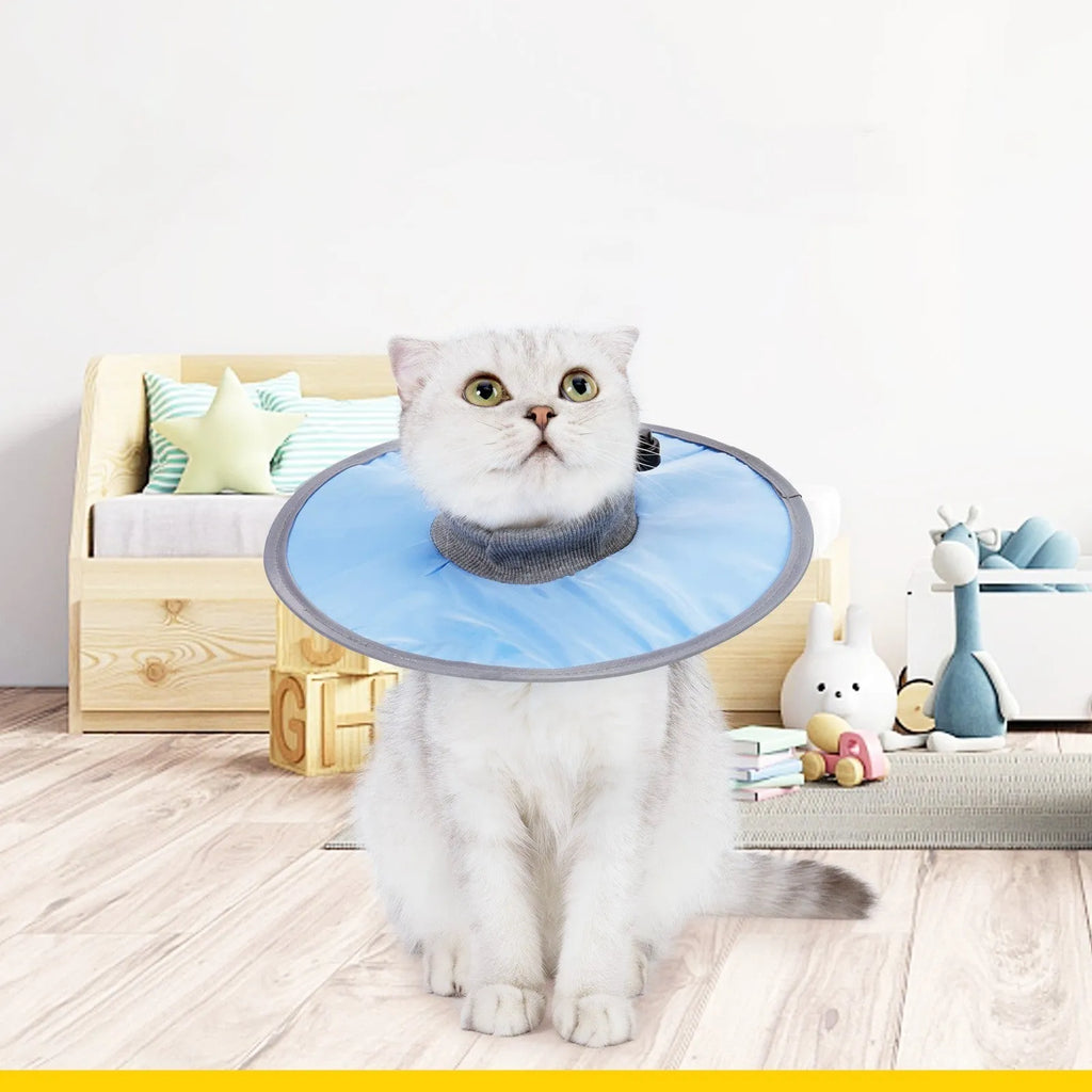 Polyester cloth circle cat collar in light blue, pink, or fruit-green, sizes M L XL, 36g to 44g