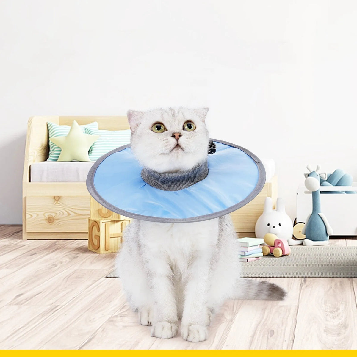 Polyester cloth circle cat collar in light blue, pink, or fruit-green, sizes M L XL, 36g to 44g