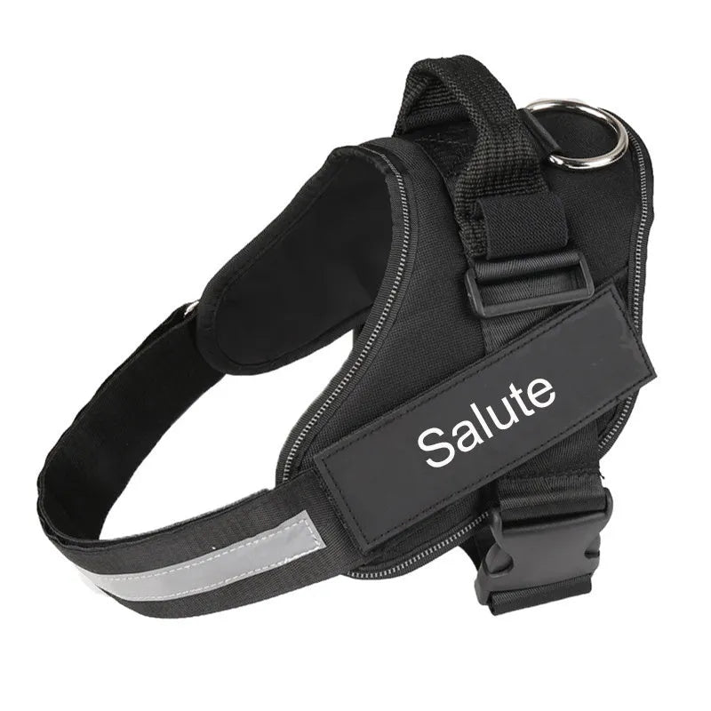 Reflective adjustable dog harness vest with top handle on a dog