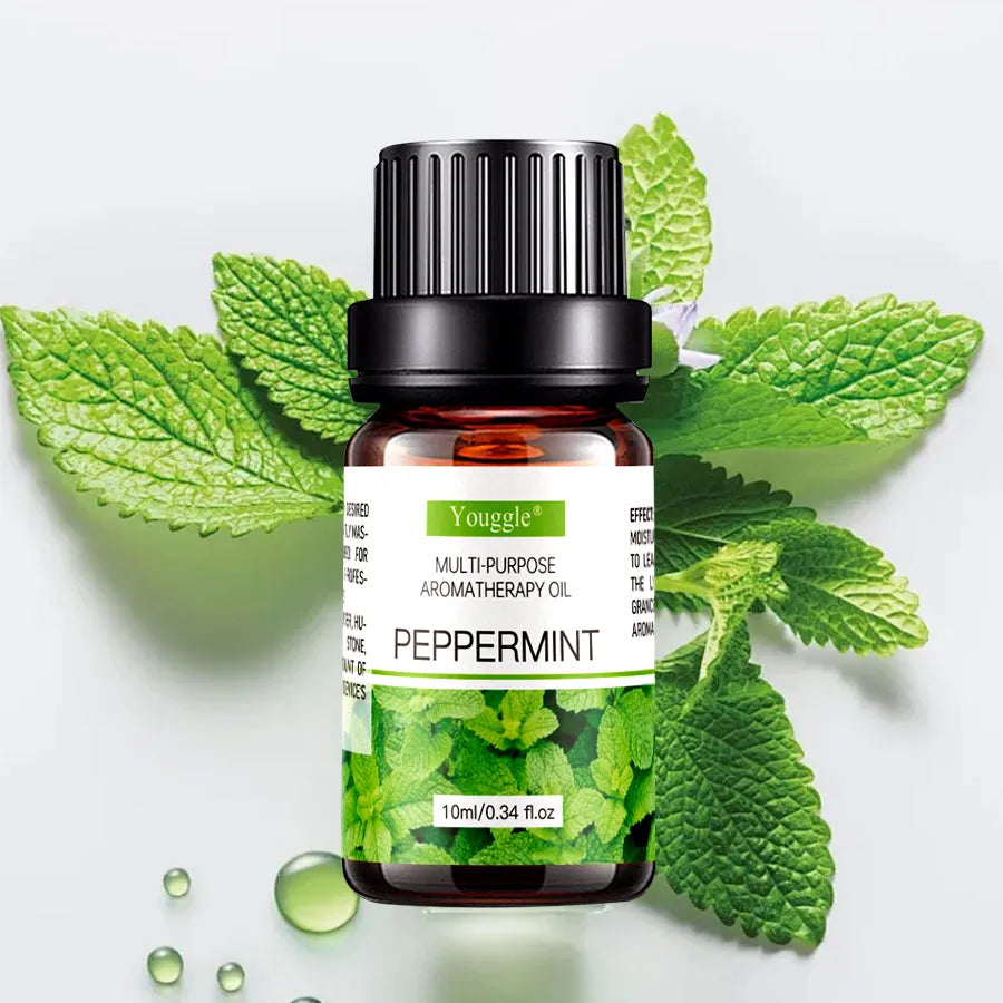 10ml mint essential oil water-soluble for humidifier diffuser aromatherapy cooling scent in stock