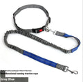 2.5cm wide elastic dog leash with reflective filament for night walking in blue and red colour combination