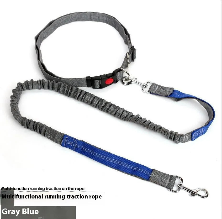 2.5cm wide elastic dog leash with reflective filament for night walking in blue and red colour combination