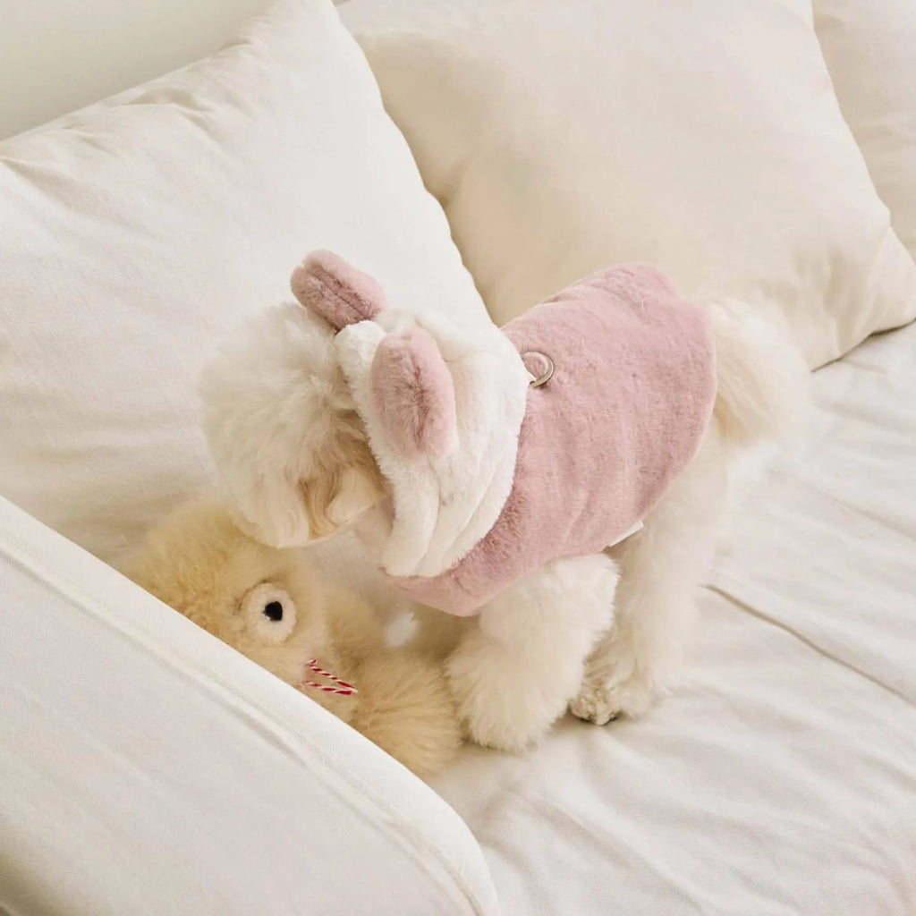 Light pink polyester dog coat shown on canine model, casual style with basic coverage design