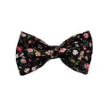 Four-piece dog accessory set showing removable bow collar, leash, vest and decorative bows in coordinated colours