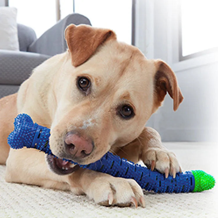 Blue-green molar-shaped dog dental chew toy with silicone bristles for teeth cleaning