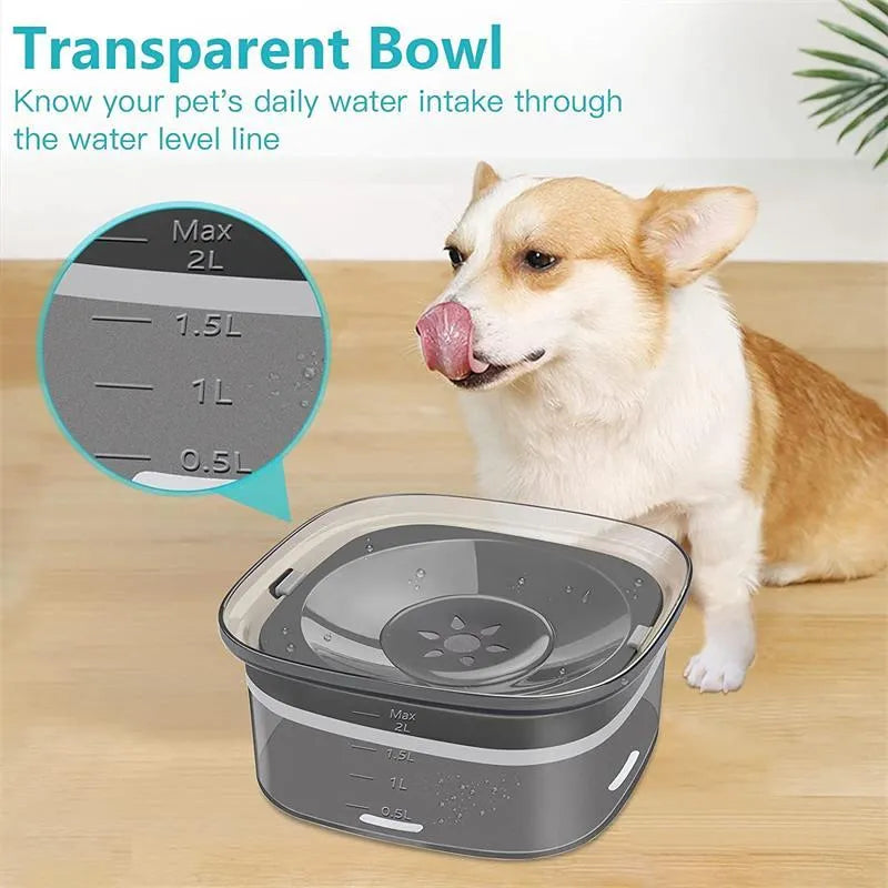 Transparent 2 litre dog water bowl with floating disc showing water level visibility