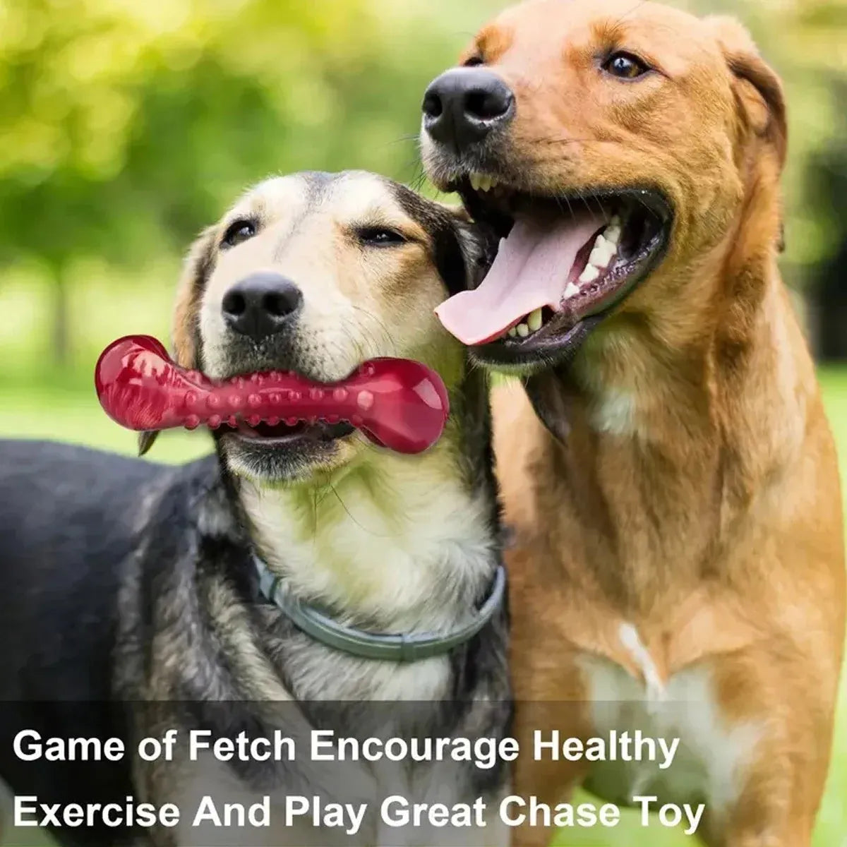 Red natural rubber chew toy for aggressive dogs with textured surface