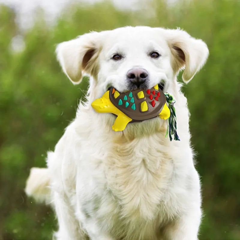 Natural rubber dog toothbrush chew toy with mint flavour and tug-of-war knot tail in assorted colours