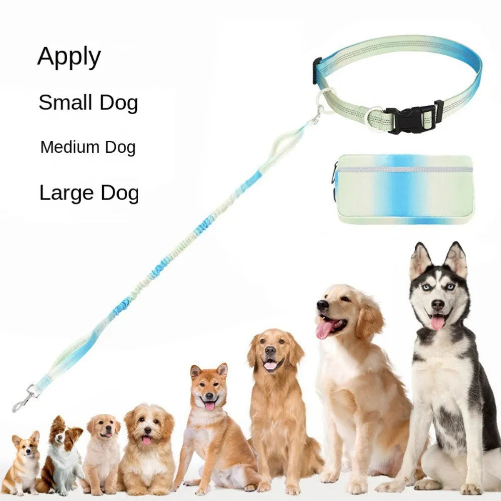 Blue hands-free dog leash with adjustable waist belt and traction rope for walking and running