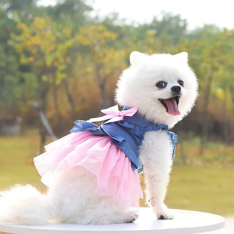 Korean princess style denim pet skirt with creative bow design for dogs