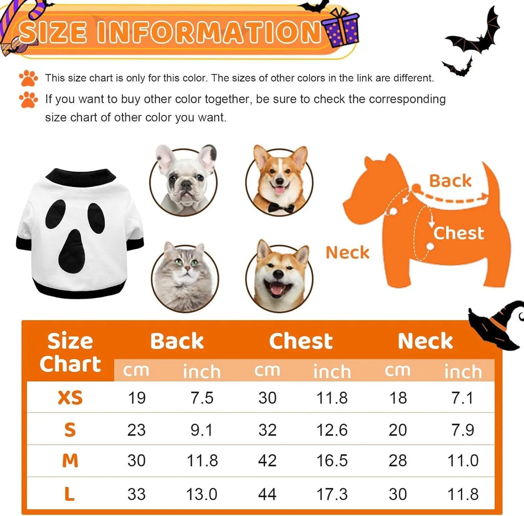 Orange dog sweatshirt with white skeleton bones print on a small Dachshund.