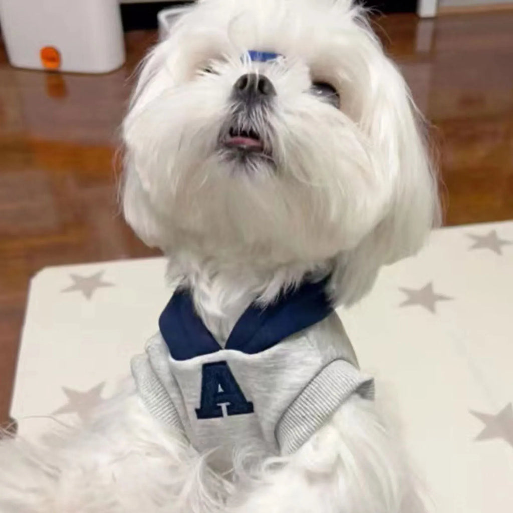 Blue and white reflective letter print slim-fitting pet hoodie for cats and dogs with elastic cuffs