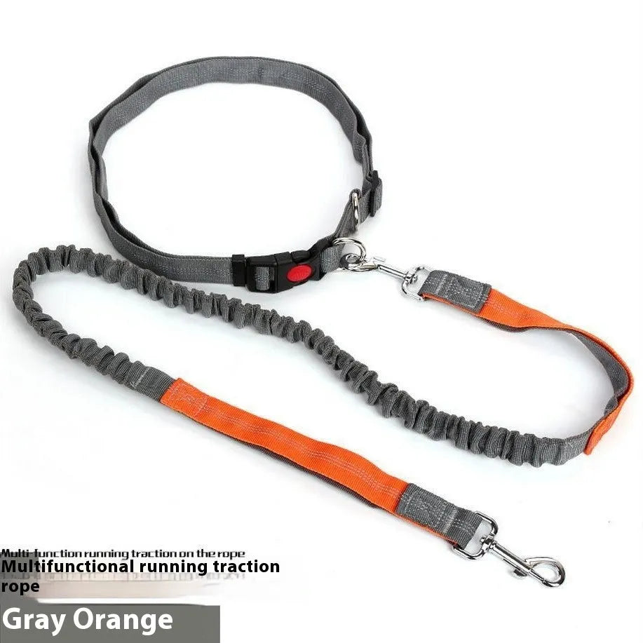 2.5cm wide elastic dog leash with reflective filament for night walking in blue and red colour combination