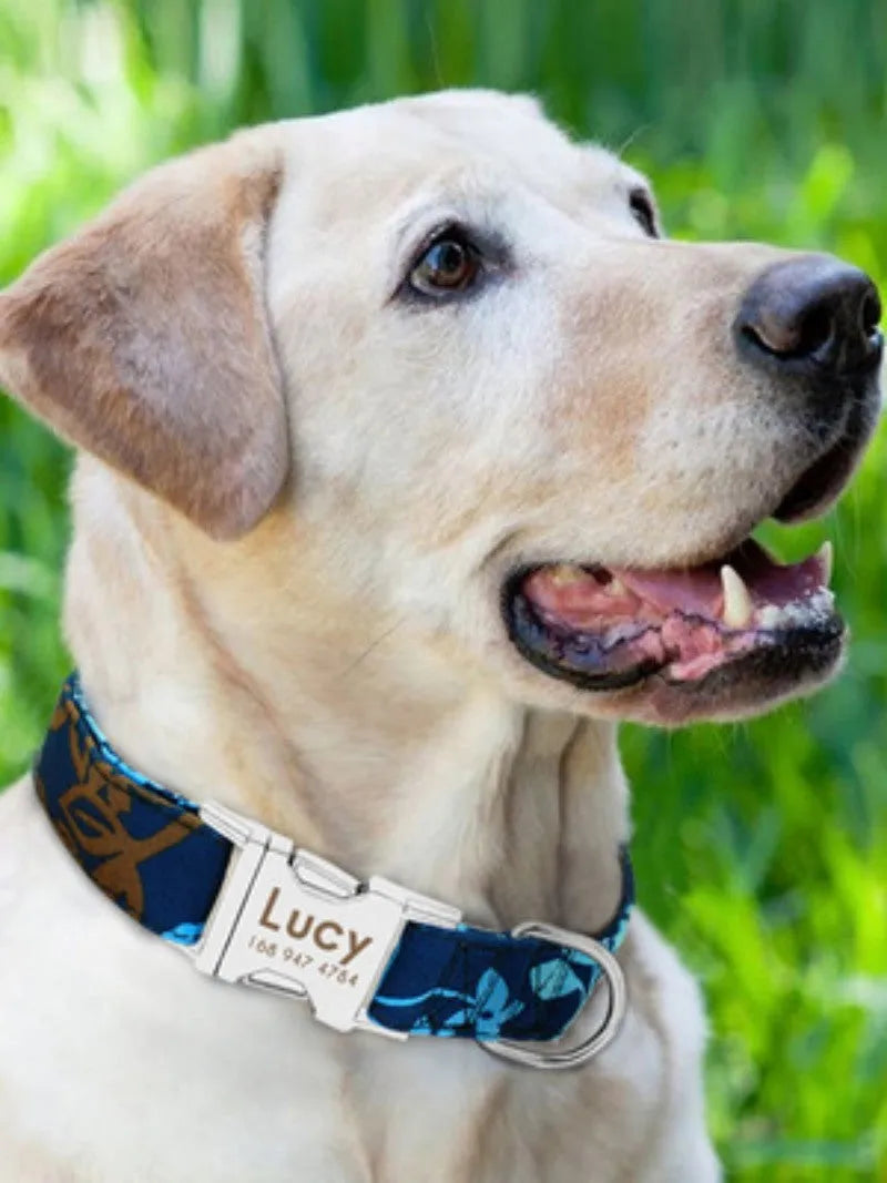 Adjustable dog collar with snap buckle in black, green, and rose red colours.
