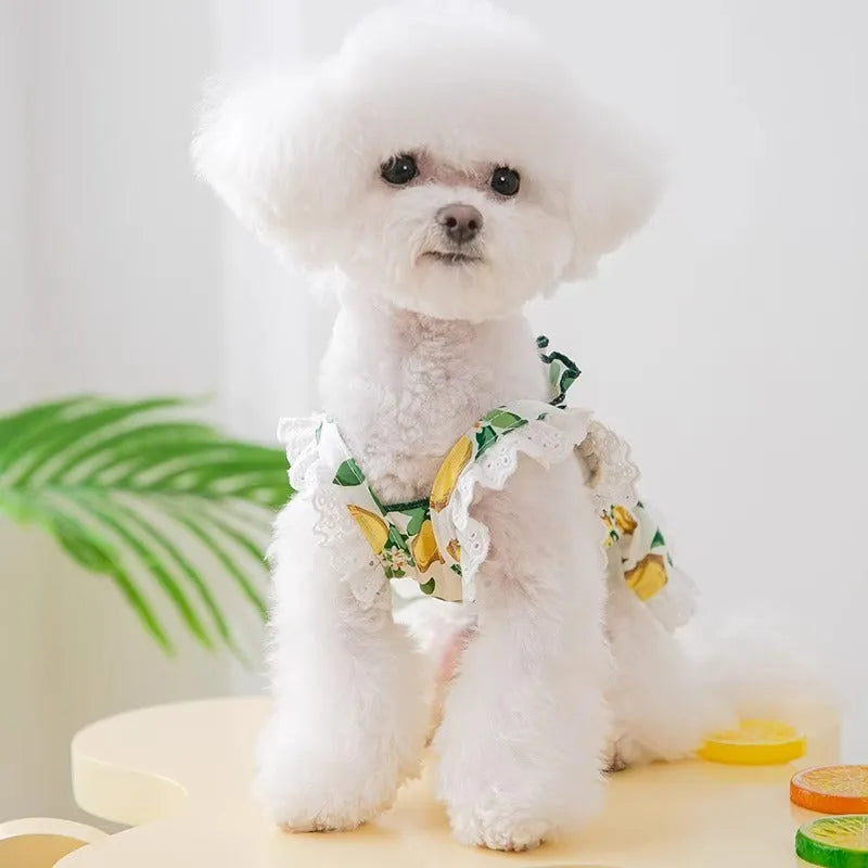 Rock yellow lemon polyester dog dress with breathable straps for small to medium dogs